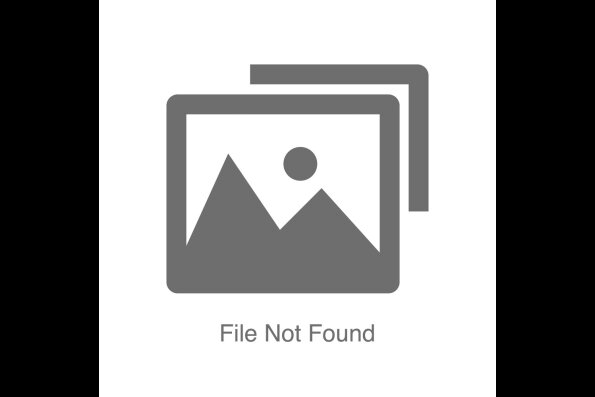 Director Marcie Begleiter. Photo: Zach Bilson