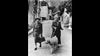 Gertrude Stein and Alice B Toklas. As seen in Paris Was a Woman. A film by Greta Schiller. A Zeitgeist Films release.