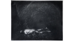 What Remains: The Life and Work of Sally Mann