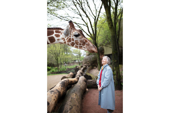 Anne Innis Dagg at the Brookfield Zoo, Chicago. As seen in The Woman Who Loves Giraffes, a film by Alison Reid.