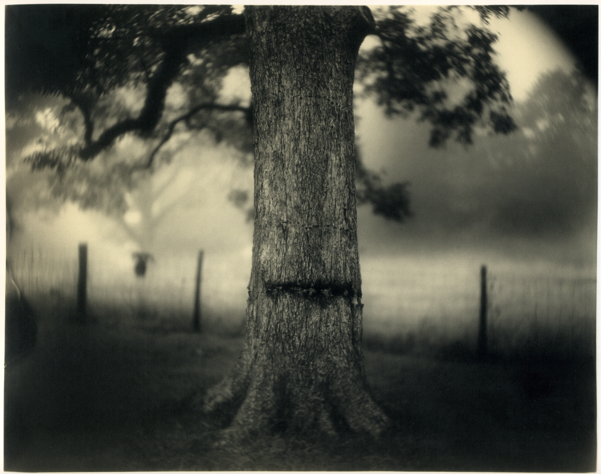 What Remains: The Life and Work of Sally Mann :: Zeitgeist Films