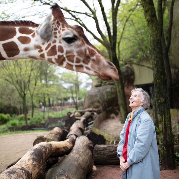Anne Innis Dagg at the Brookfield Zoo, Chicago. As seen in The Woman Who Loves Giraffes, a film by Alison Reid.